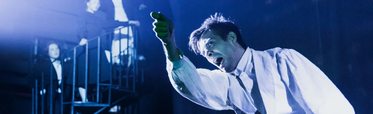 Постер Шинель в Барнауле