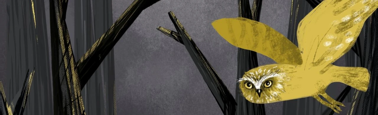 Постер Зверский детектив