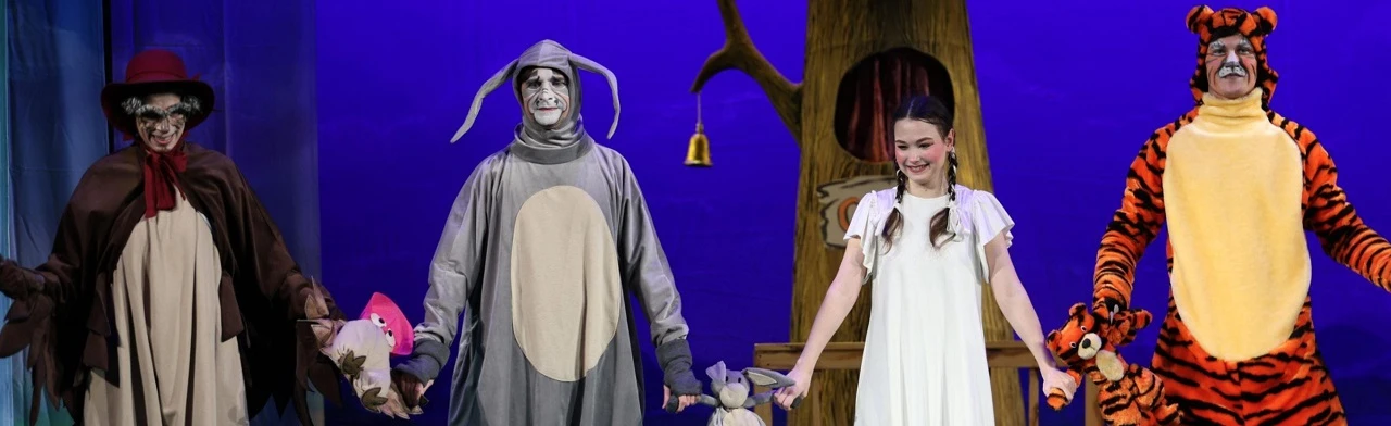 Постер Винни Пух и все-все-все в Чайковском