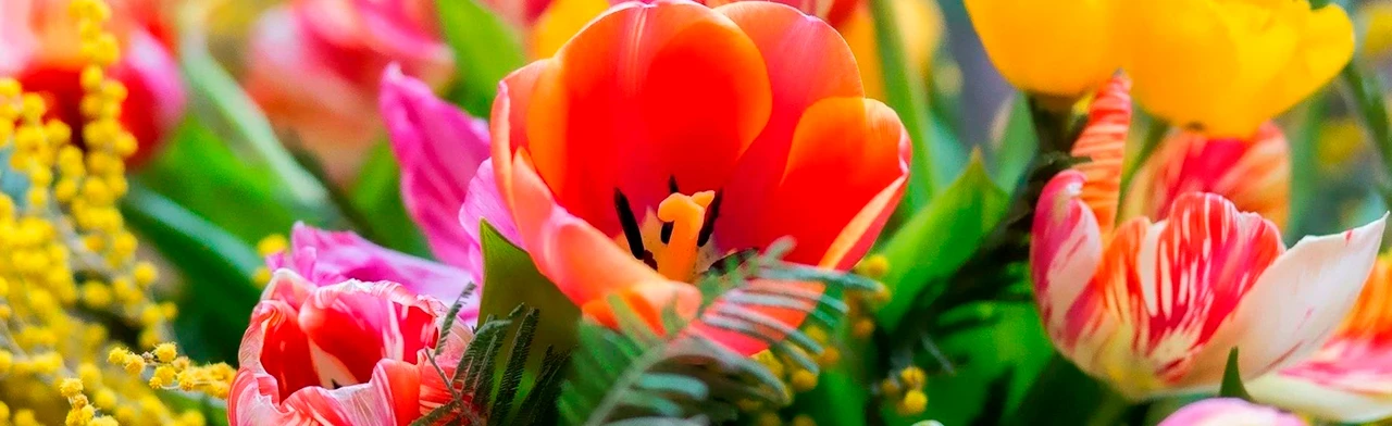 Постер Праздничный концерт звезд чувашской эстрады в Чебоксарах