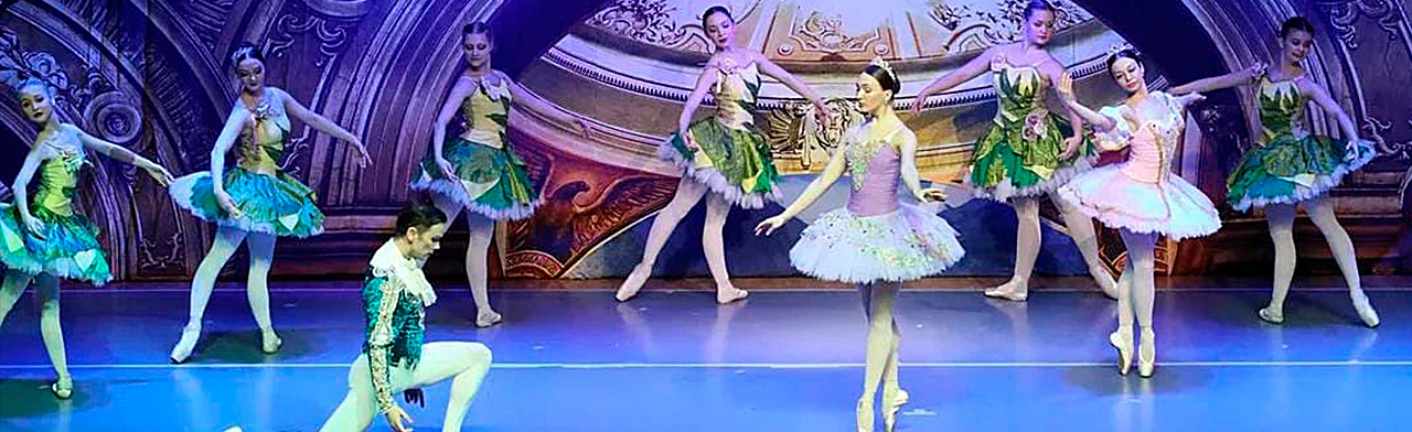 Постер Спящая красавица в Чебоксарах