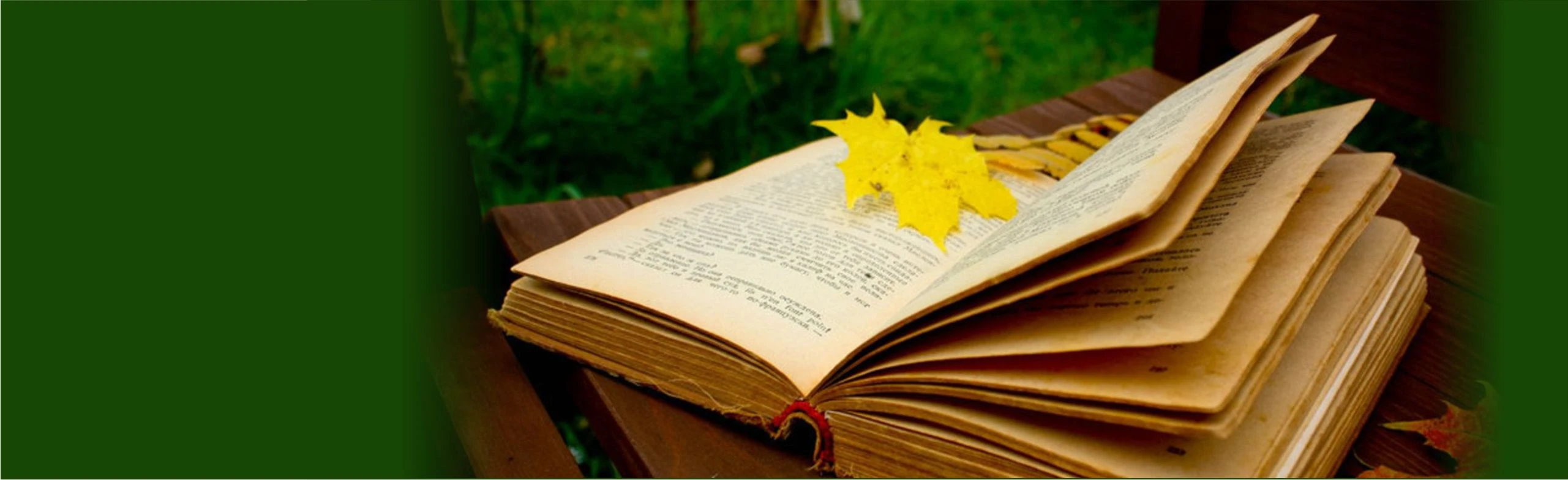 Постер Литературное приключение «Тайны забытых книг» в Екатеринбурге