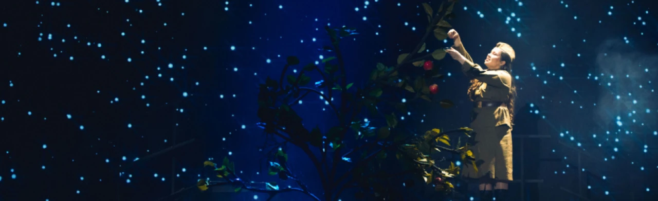 Постер А зори здесь тихие