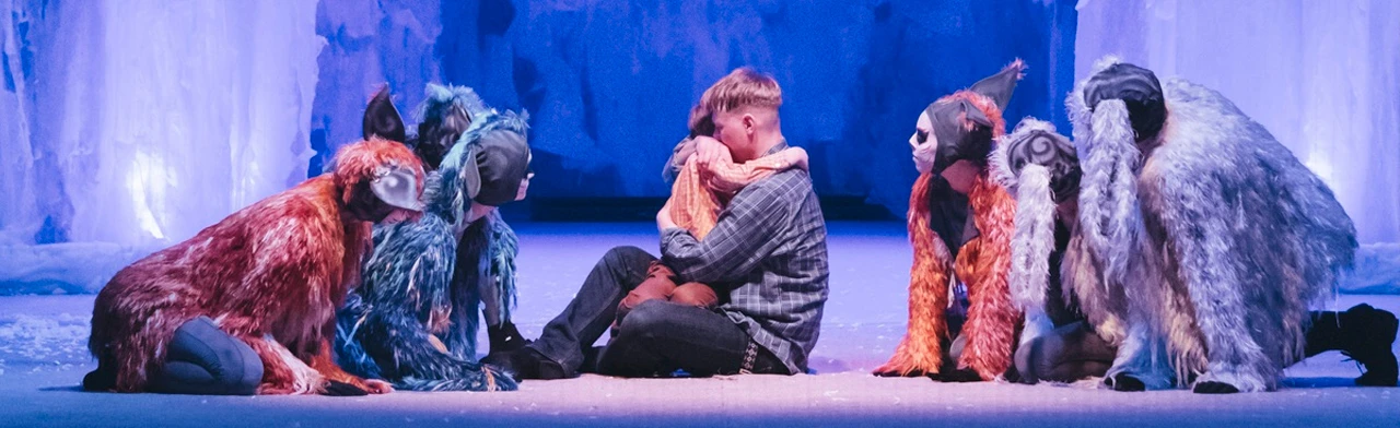 Постер Два брата