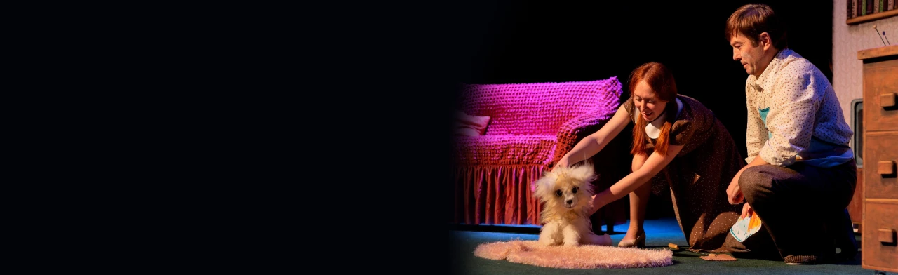 Постер Умная собачка Соня в Ижевске