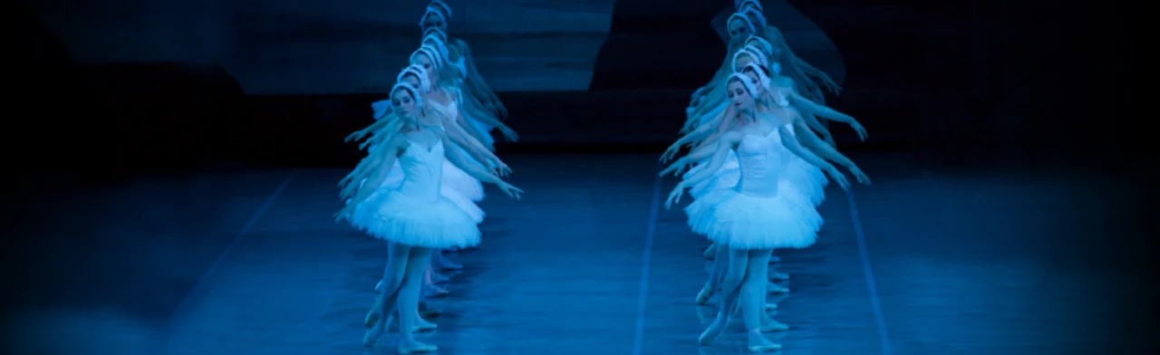 Постер Лебединое озеро в Краснодаре