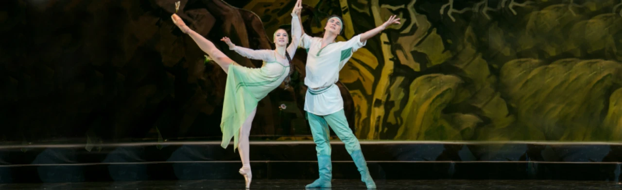 Постер Каменный цветок в Краснодаре