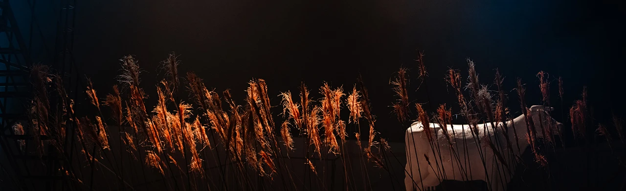 Постер Три дня в деревне