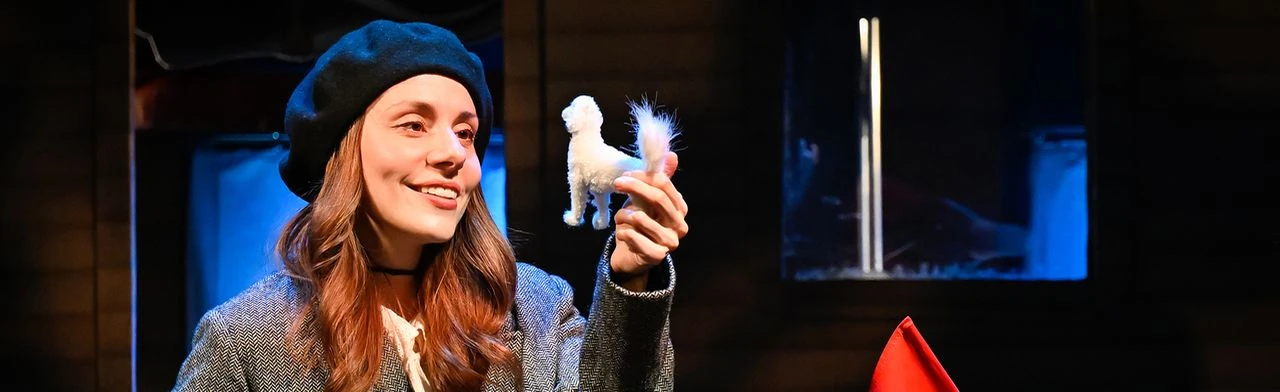 Постер Багаж в Красноярске