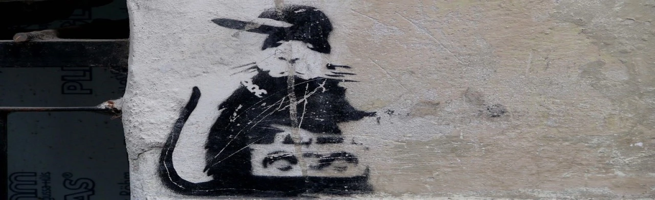 Постер Дизайн имени или декор улиц: современное уличное искусство. Лекция в Красноярске