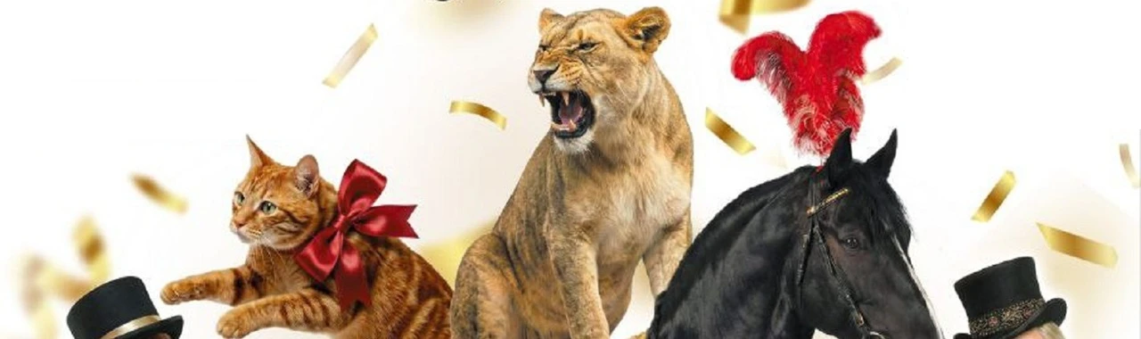 Постер Цирк шапито "София" в Махачкале