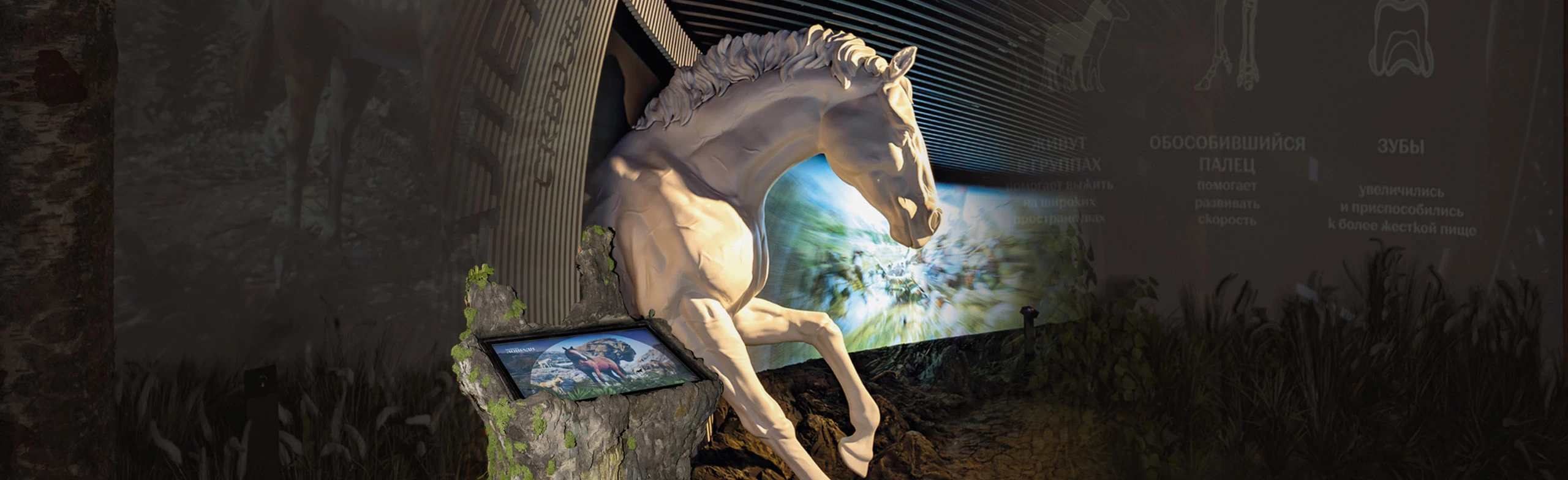 Постер Стандартная экскурсия по Интерактивной экспозиции «Музей Лошади» в Москве