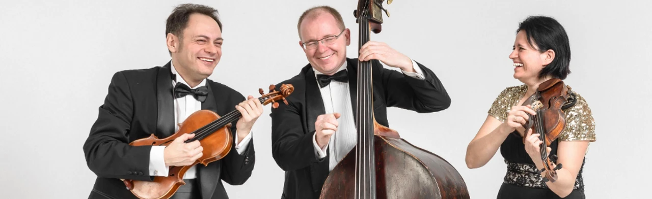 Постер Контрабас-квартет в Москве