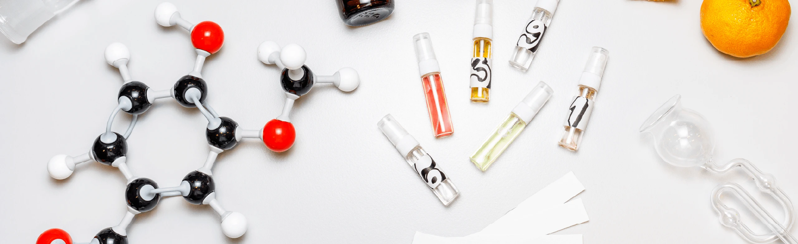 Постер Планета вкусов в Москве