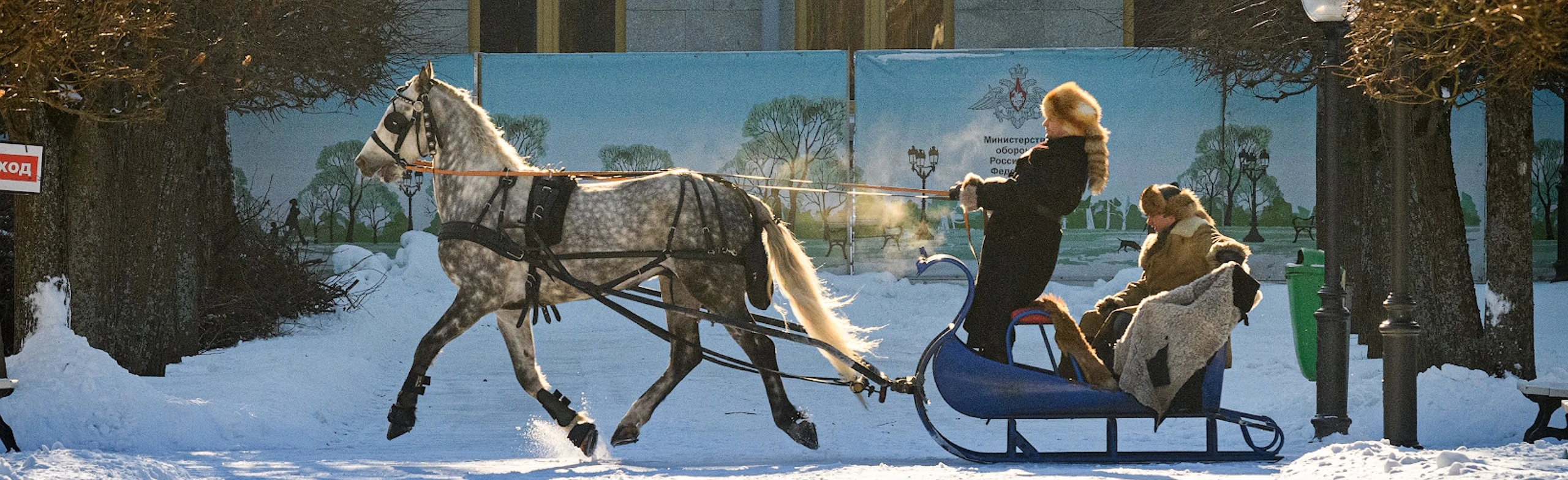 Постер Много разных небылиц про зверей и птиц