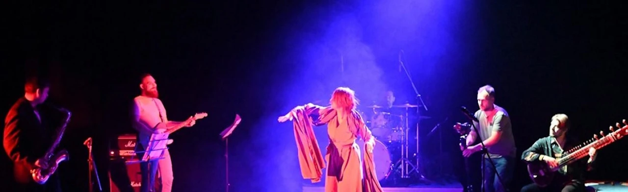 Постер Sardonics