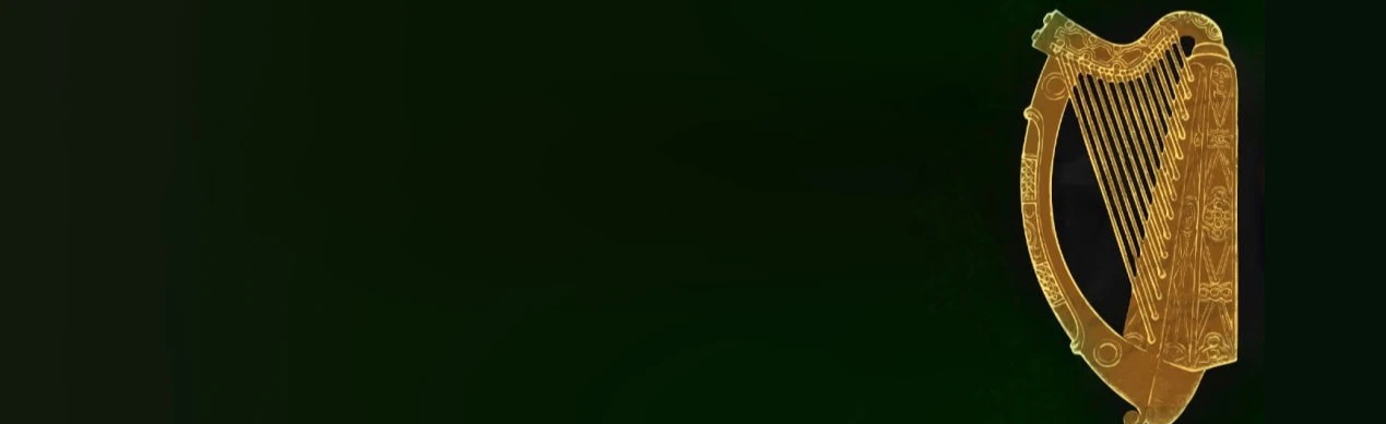 Постер Slua Si