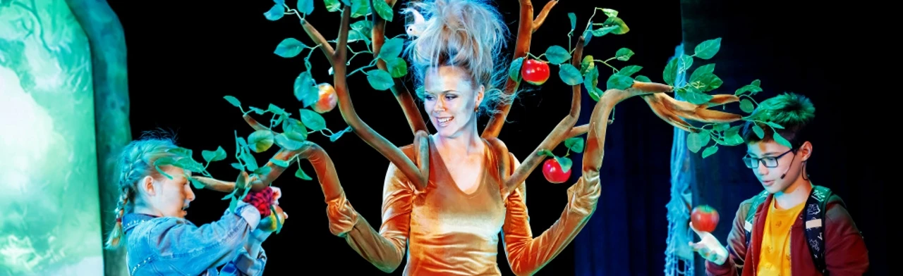 Постер Маша и Витя против диких гитар