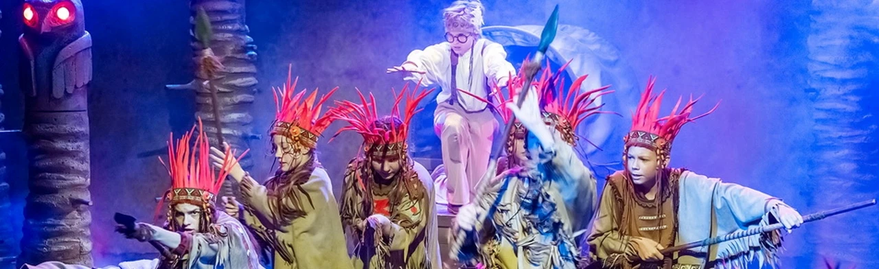 Постер Вождь краснокожих (Похищение Джонни Д.)