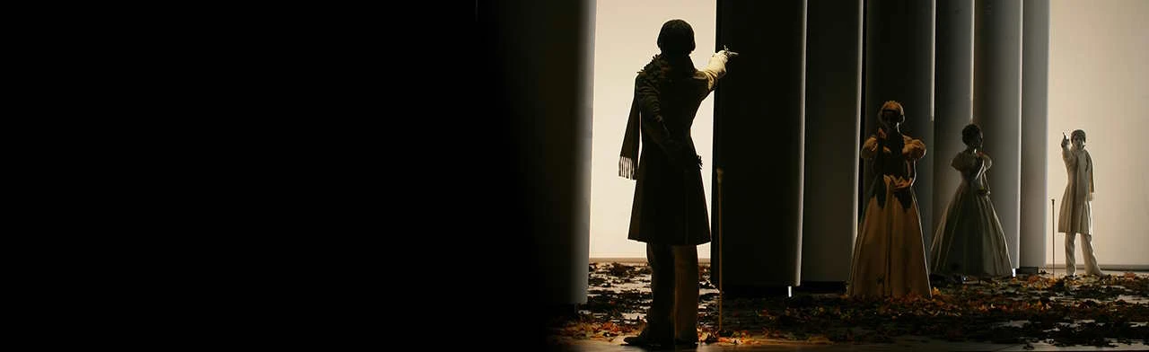 Постер Евгений Онегин в Москве