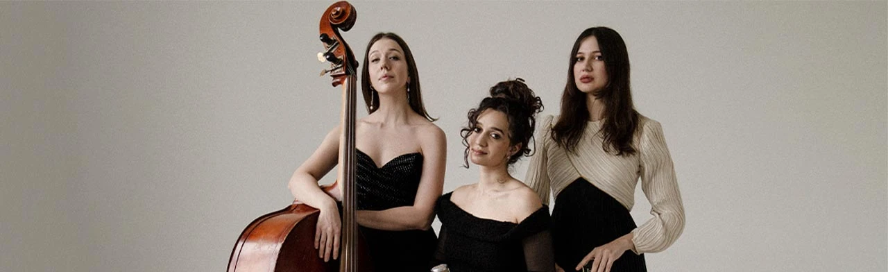 Постер Starlight Jazz Trio