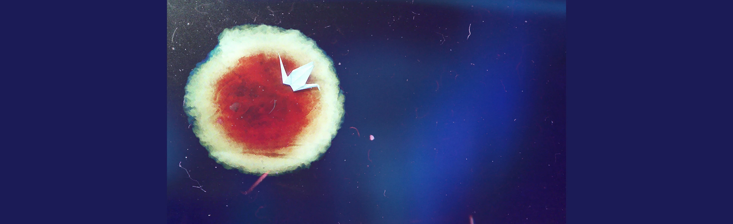 Постер Маленький принц в Москве