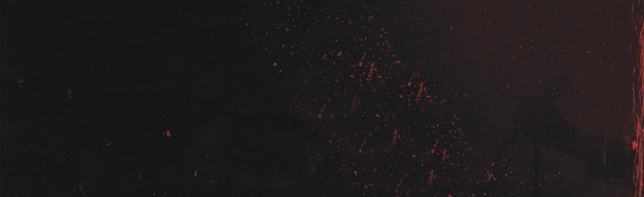 Постер Собаки Табака в Москве