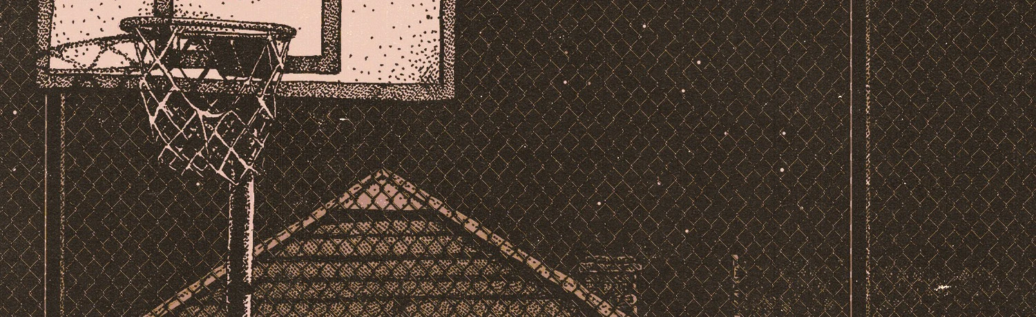 Постер Пекинский Велосипед, Побег, Дорогой Дневник