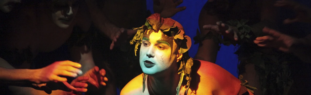 Постер Сон в летнюю ночь