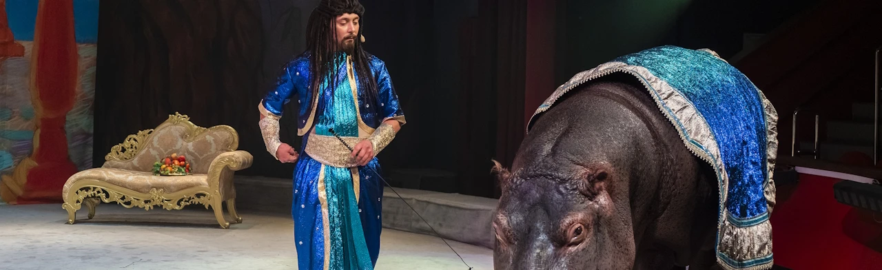 Постер Каникулы Джинна