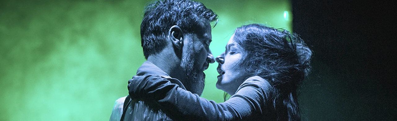 Постер Чайка