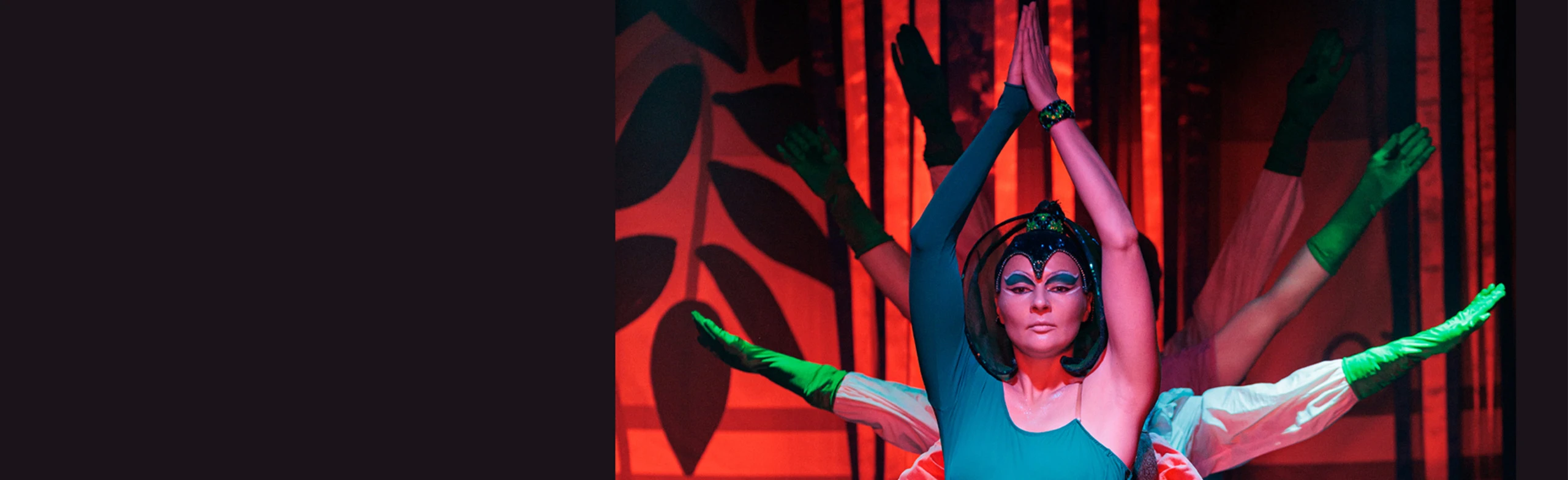 Постер Рикки- Тикки-Тави (Театр-Про)