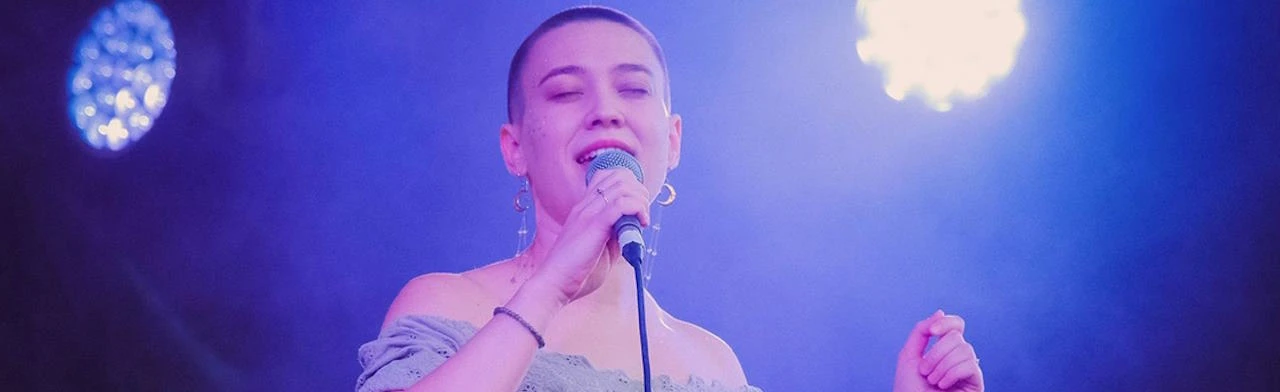 Постер Rodnaya