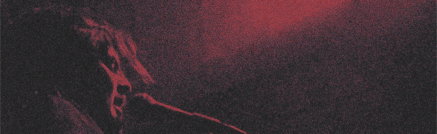 Постер Bird Bone