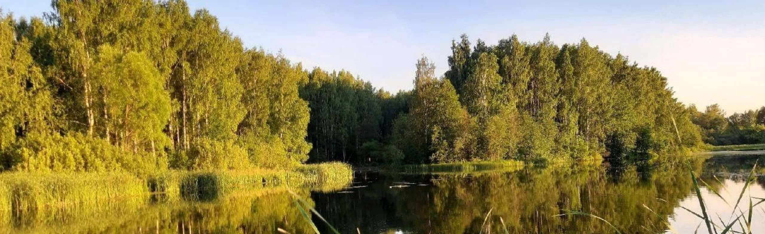 Постер Люблю тебя, моя Россия! Программа