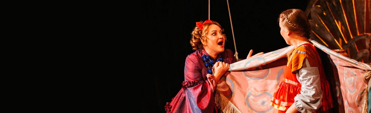 Постер Финист Ясный Сокол: Софья Прокофьева, Ирина Токмакова в Нижнем Новгороде