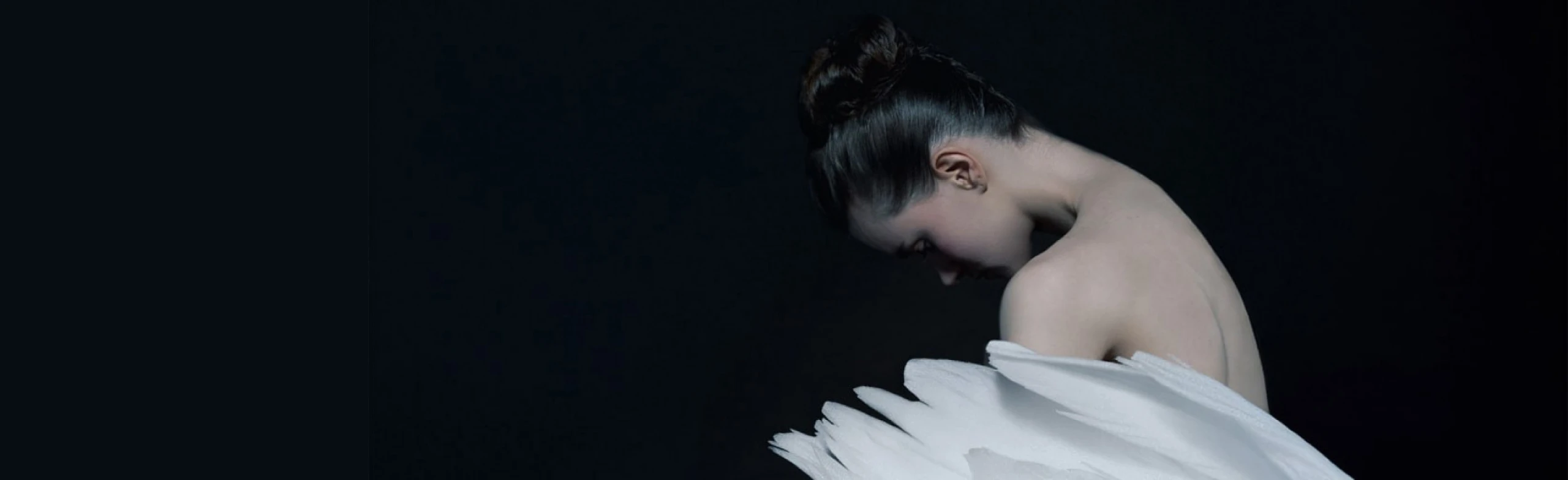 Постер Лебединое озеро в Нижнем Новгороде