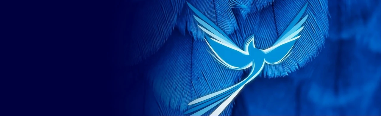 Постер Синяя птица в Нижнем Новгороде