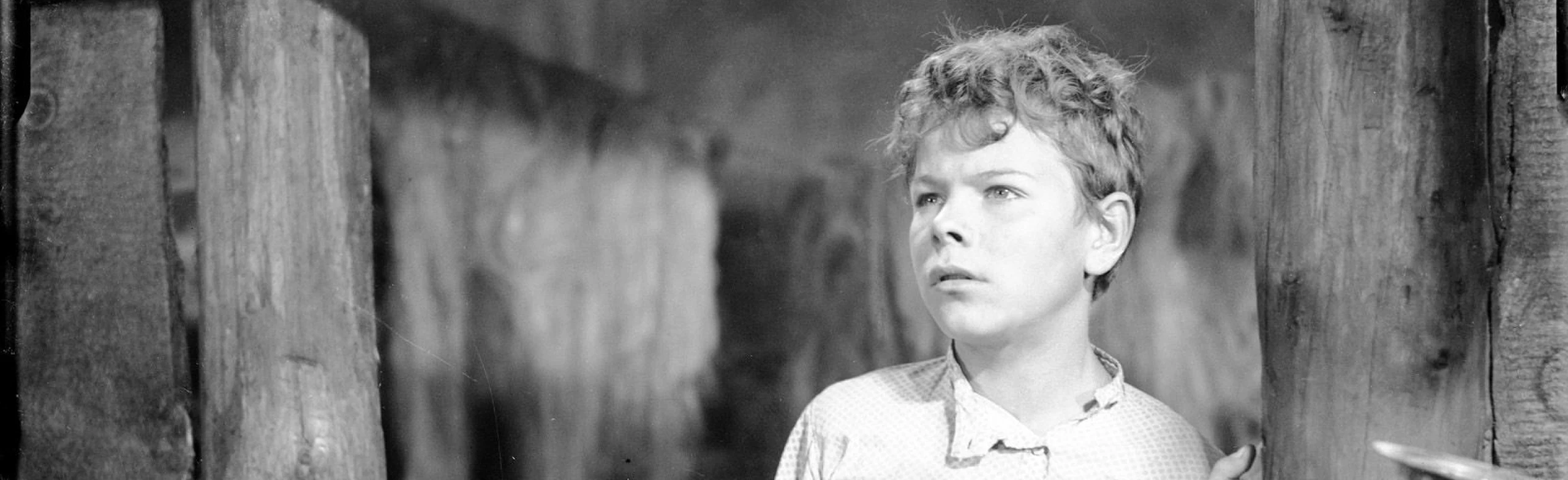 Постер От Нижнего до Казани: Культурно-просветительское занятие в Нижнем Новгороде