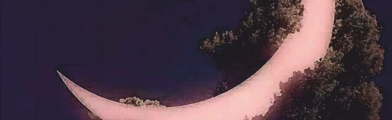 Постер Концерт для полуночников в Новосибирске