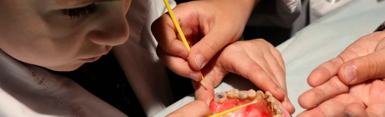 Постер Большая медицинская программа: стоматология. Для детей 7-10 лет в Новосибирске