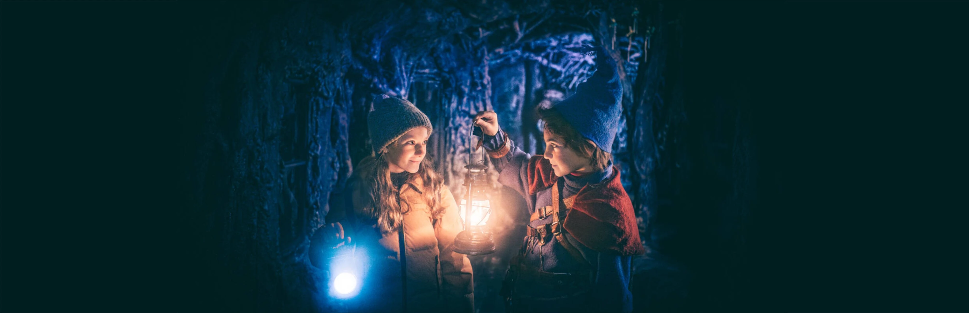 Постер Невероятные приключения в стране чудес в Новосибирске