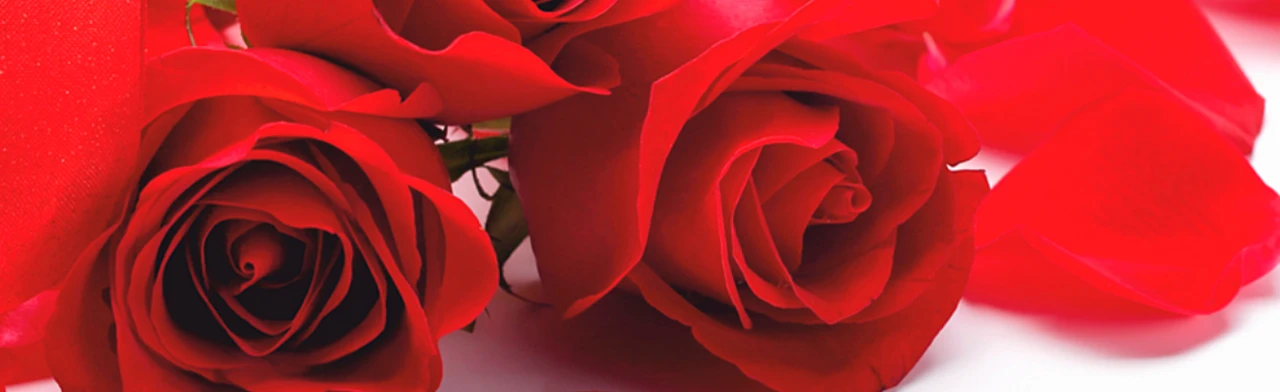 Постер Милые, любимые, родные в Новосибирске