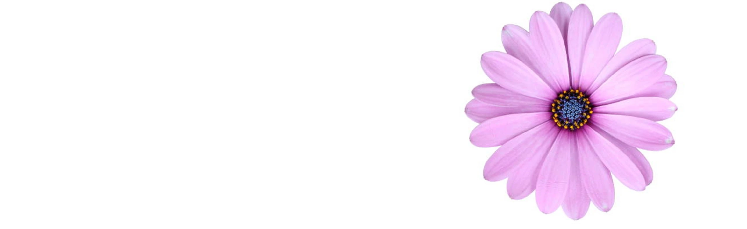 Постер Весна в моём городе в Новосибирске