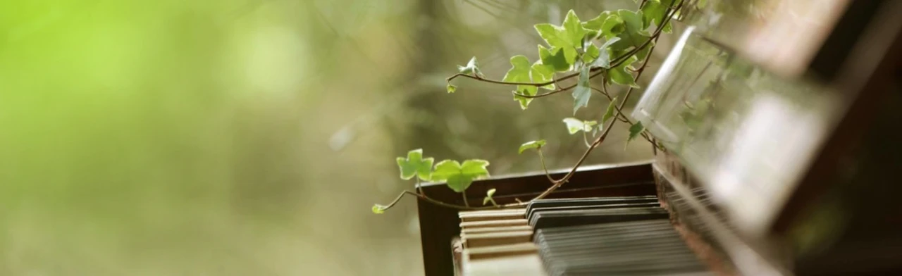 Постер О чем поет весна! в Новосибирске