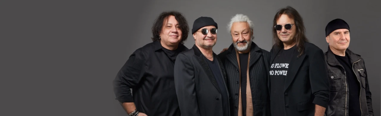 Постер Группа Цветы в Новосибирске