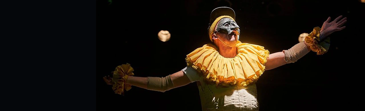 Постер Пульчинелла в Новосибирске