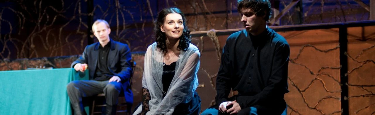 Постер Братья Карамазовы в Омске