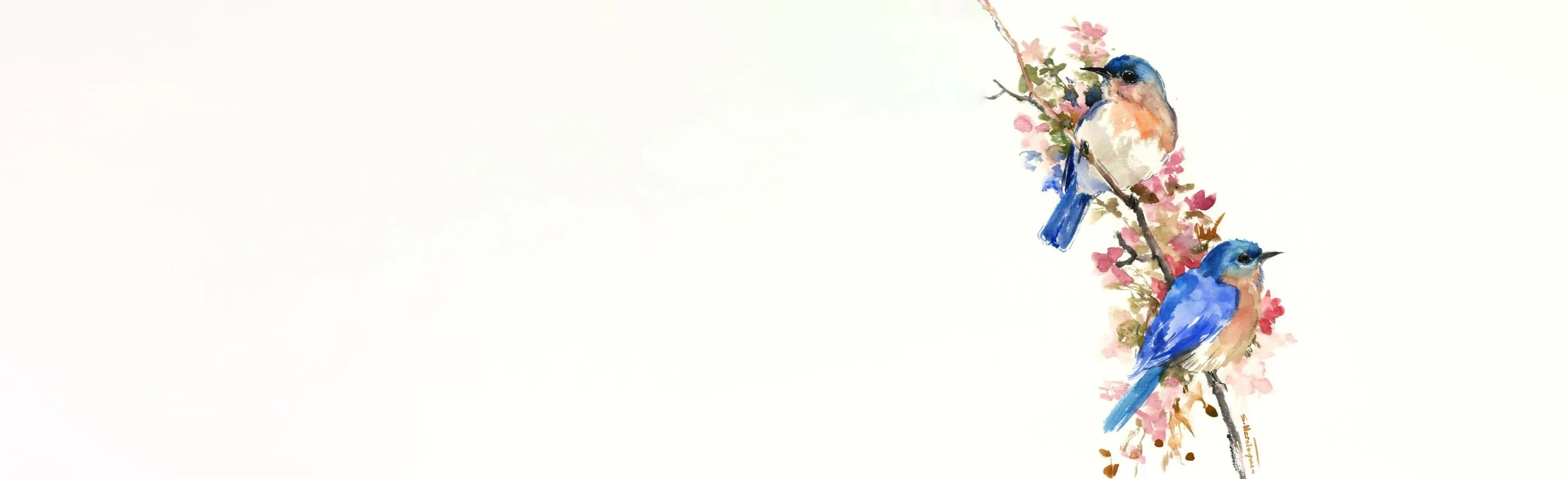 Постер Птицы акварелью. Мастер-класс в Оренбурге