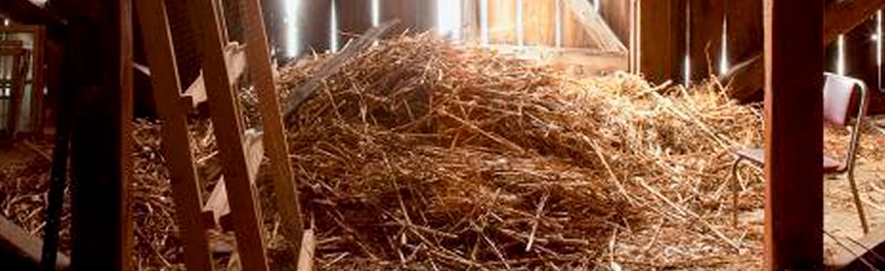 Постер Очень простая история. Спектакль по пьесе Марии Ладо в Оренбурге